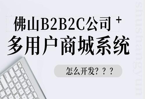 b2b2c电商|b2b2c电商搭建平台|b2b2c电商系统开发-数商云电商系统